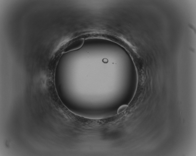 X0000092271255200709141154