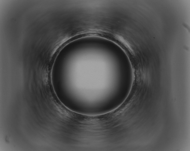 X0000092271260200709141154