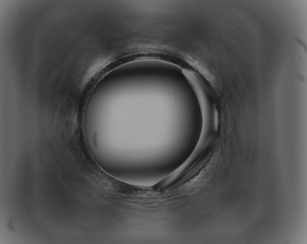 X0000092271261200709141154