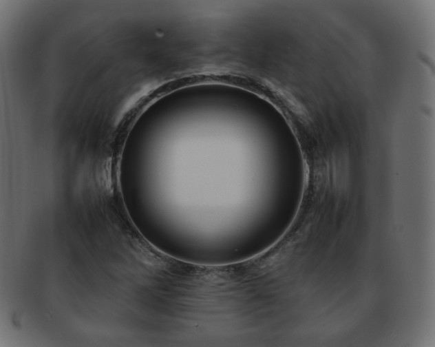 X0000092271262200709141154
