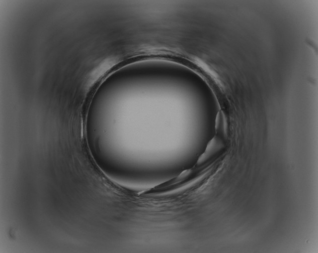 X0000092271269200709141154