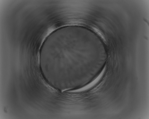 X0000092271275200709141154