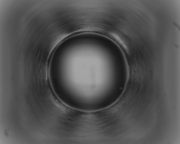 X0000092271276200709141154