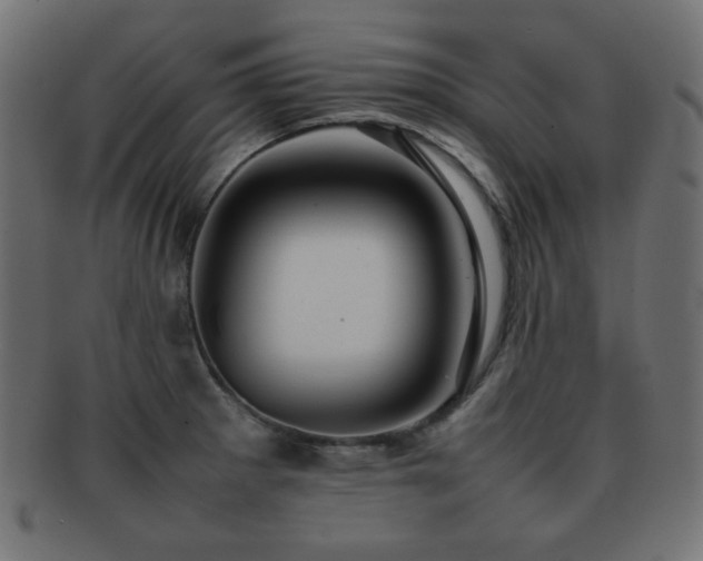 X0000092271281200709141154