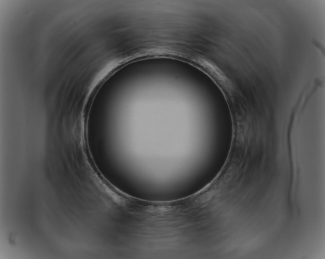 X0000092271286200709141153