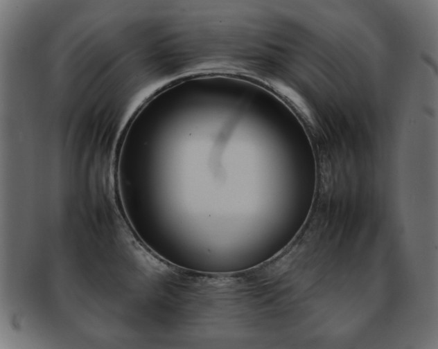 X0000092271288200709141153
