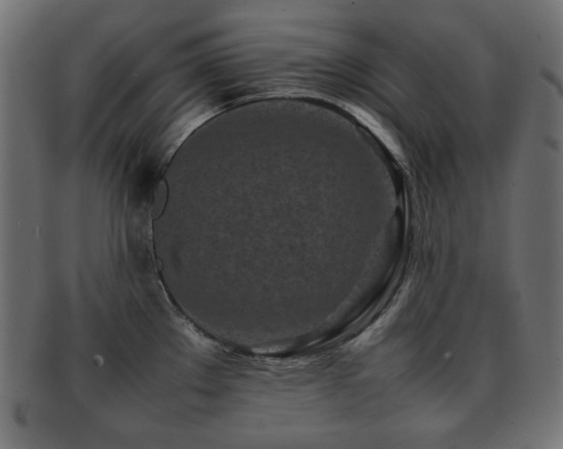 X0000092271289200709141153