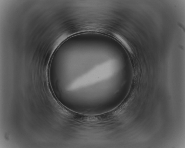 X0000092271291200709141153