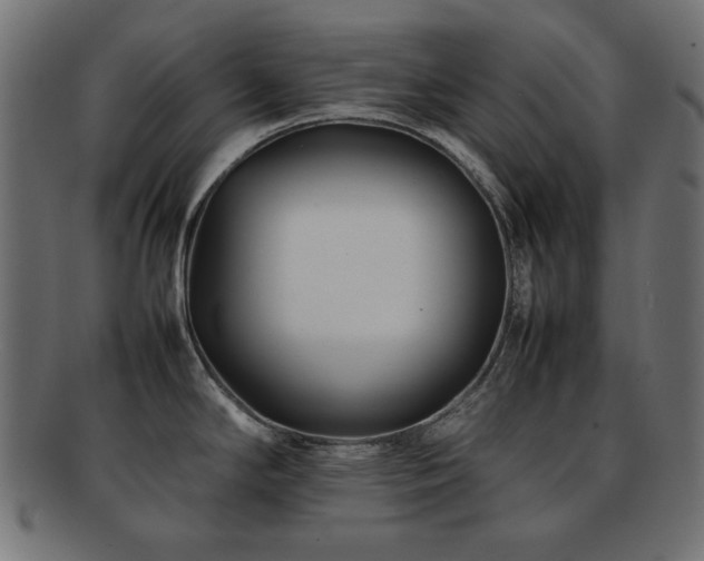 X0000092271294200709141153