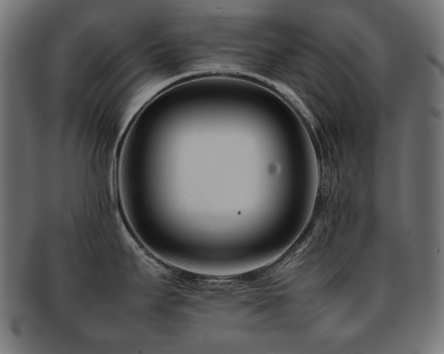 X0000092271295200709141153