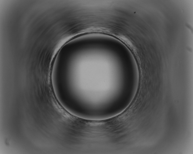 X0000092271296200709141153