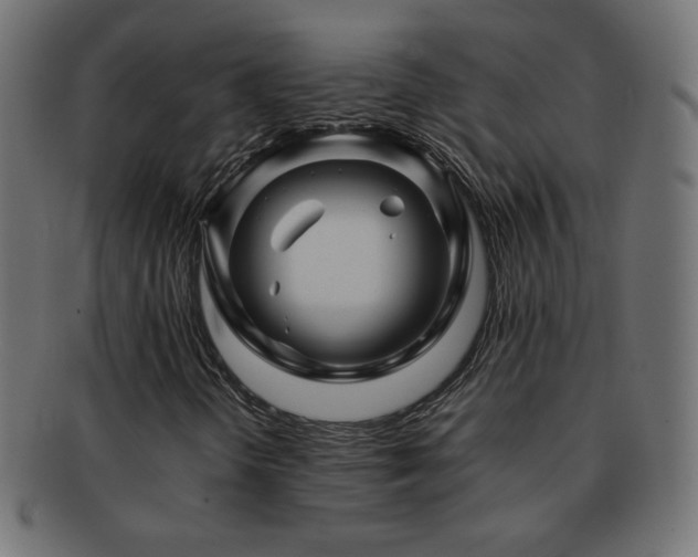 X0000092271298200709141153