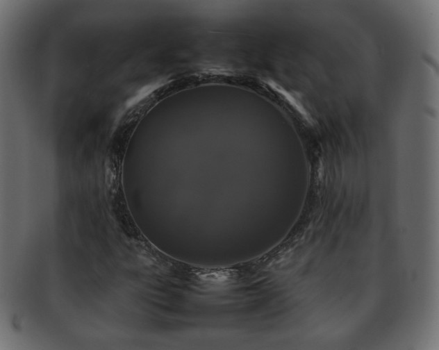 X0000092271303200709141153
