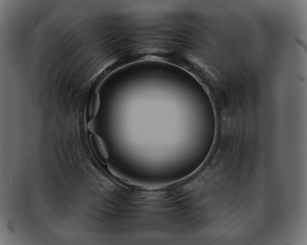 X0000092271305200709141153