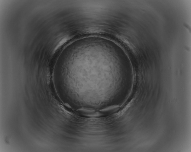 X0000092271306200709141153