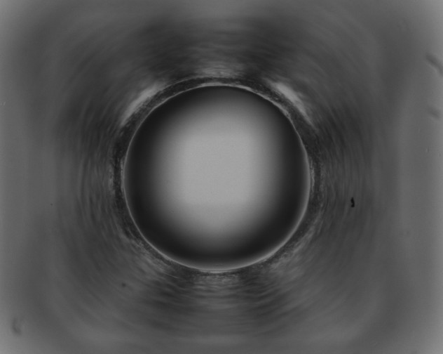 X0000092271307200709141153