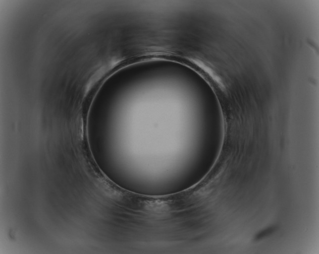 X0000092271317200709141153