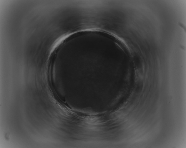 X0000092271319200709141153