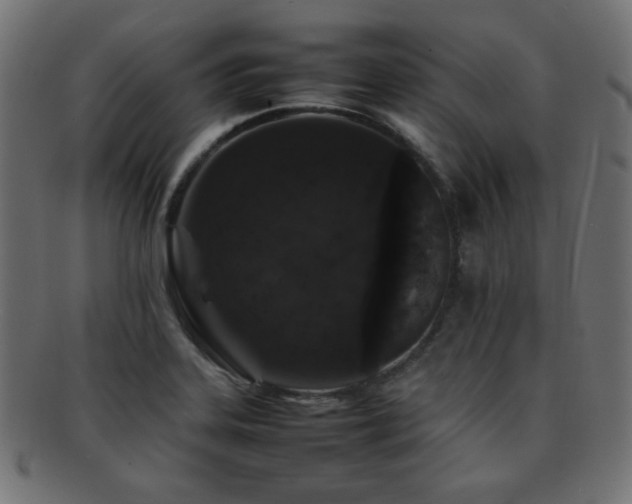 X0000092271323200709141153
