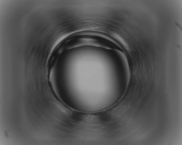 X0000092271324200709141153