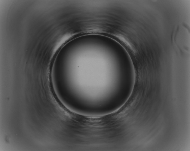 X0000092271325200709141153