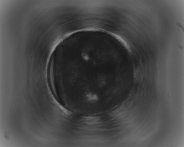 X0000092271327200709141153