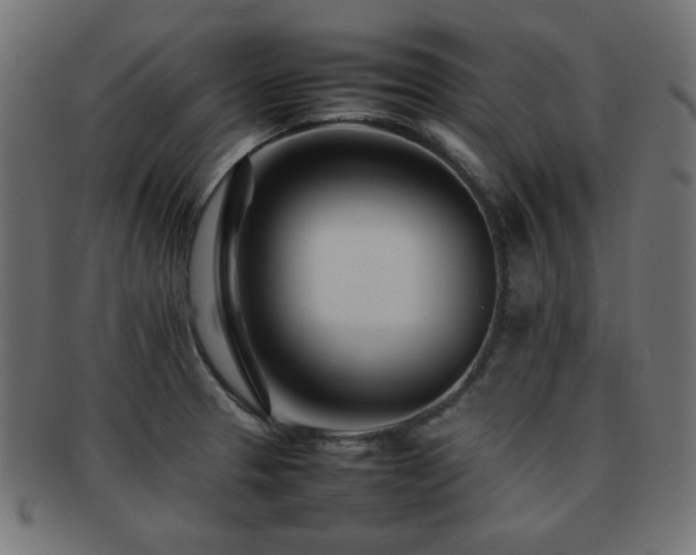 X0000092271329200709141153