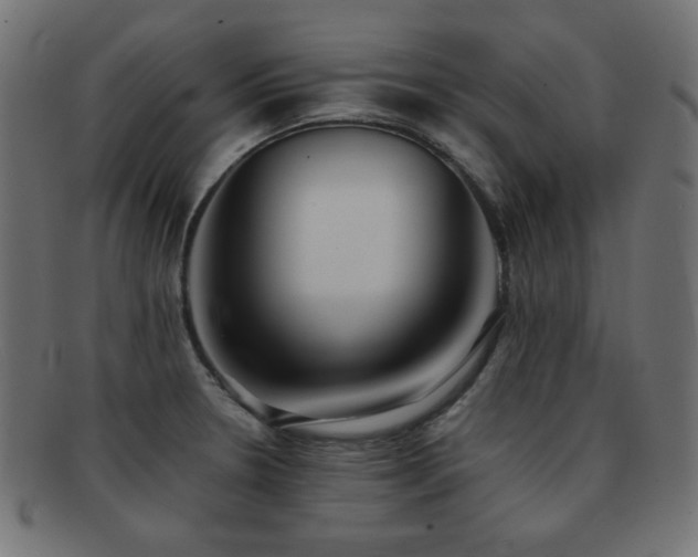 X0000092271330200709141153