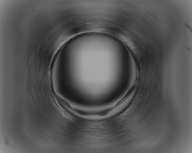 X0000092271332200709141153