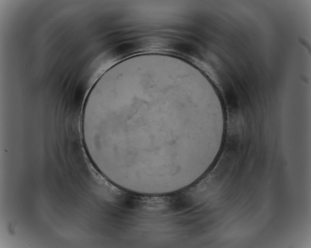 X0000092271338200709141153