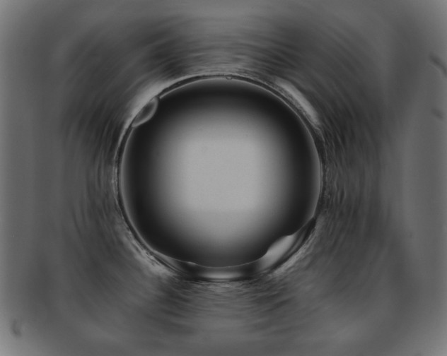 X0000092271340200709141153