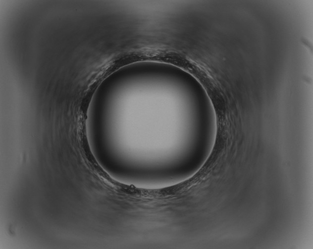 X0000092271349200709141153