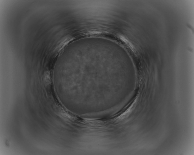 X0000092271353200709141153