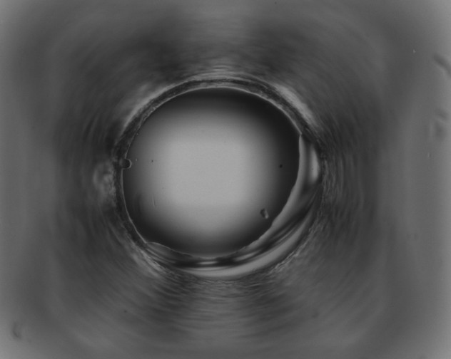 X0000092271356200709141152