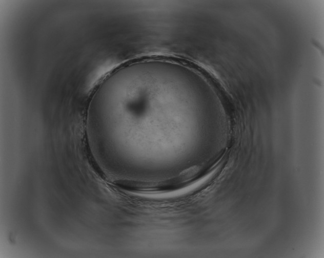 X0000092271359200709141152