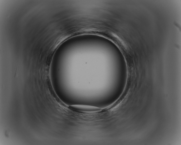 X0000092271361200709141152