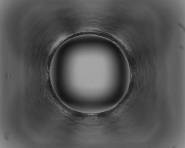 X0000092271363200709141152