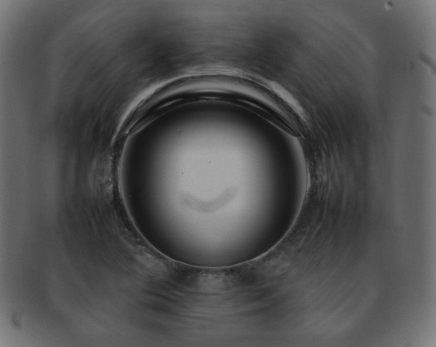 X0000092271364200709141152