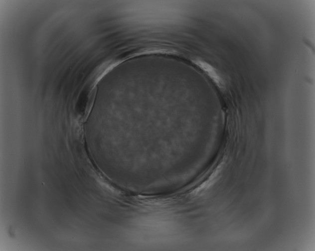 X0000092271369200709141152