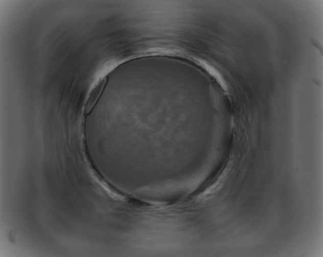 X0000092271373200709141152