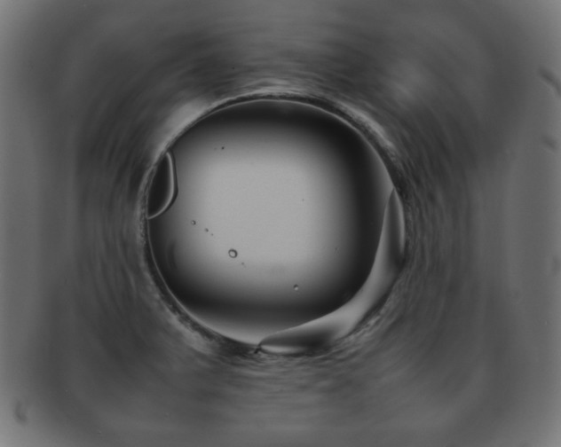 X0000092271375200709141152