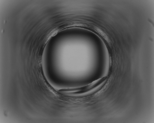 X0000092271377200709141152