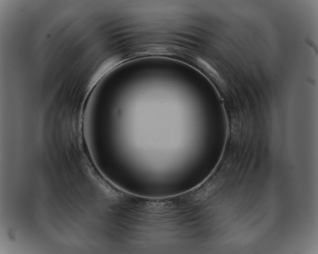 X0000092271378200709141152