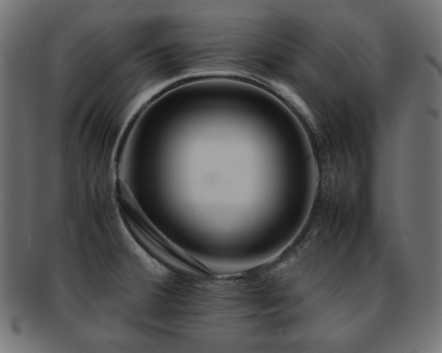 X0000092271380200709141152