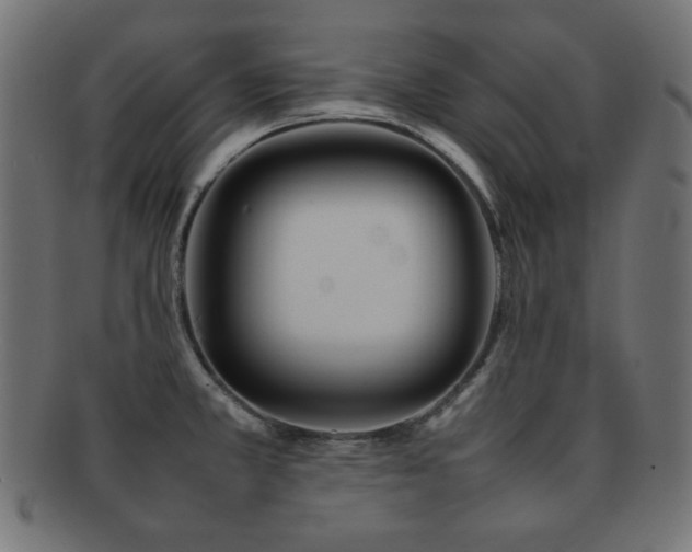 X0000092271381200709141152
