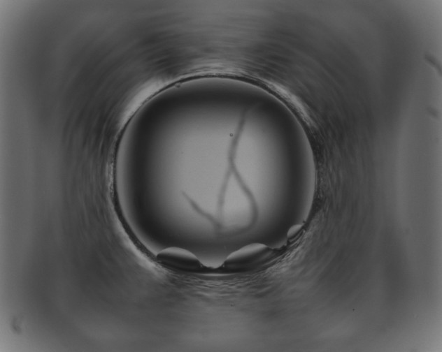 X0000092271383200709141152