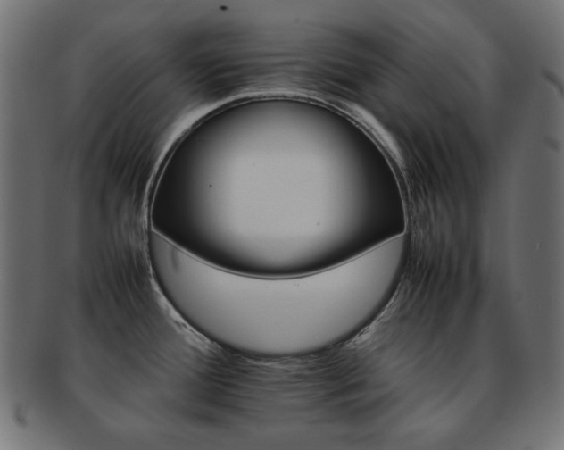 X0000092271388200709141152