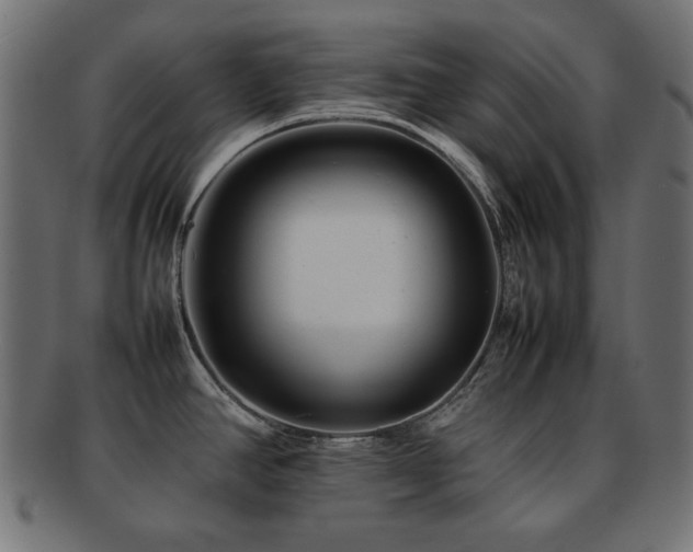 X0000092271390200709141152