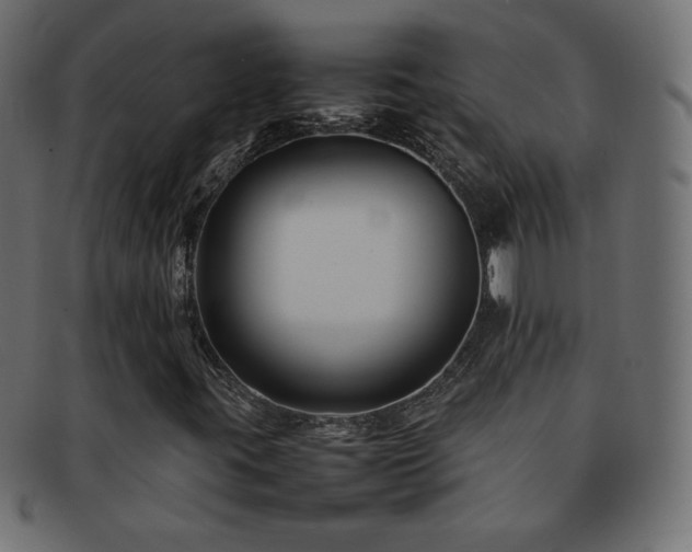 X0000092271395200709141152