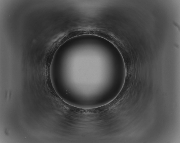 X0000092271398200709141152